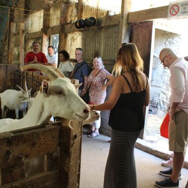 Cheese and wine tour in the nothern part of cote du rhone
