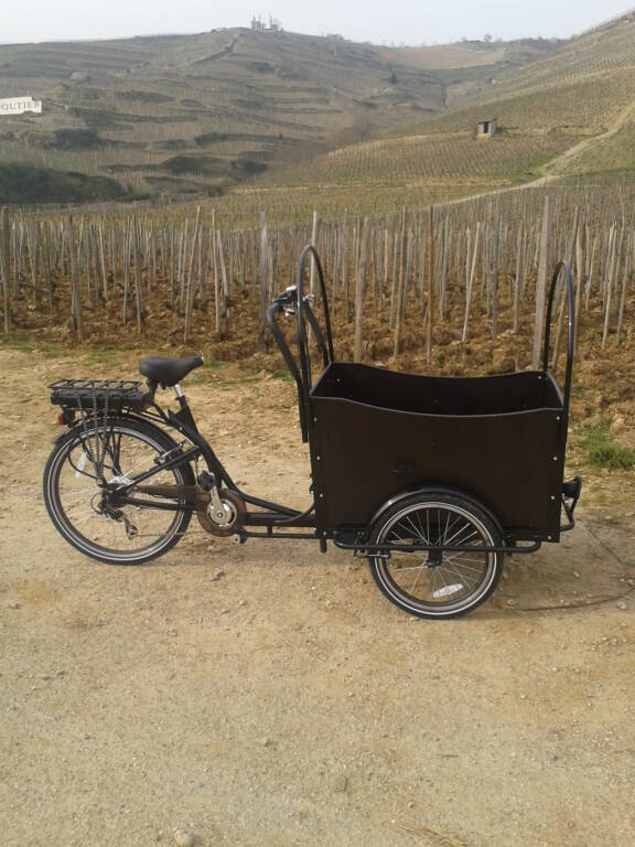 Wine tours on an electric bike