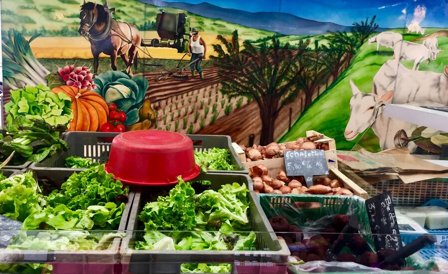 marché place carnot