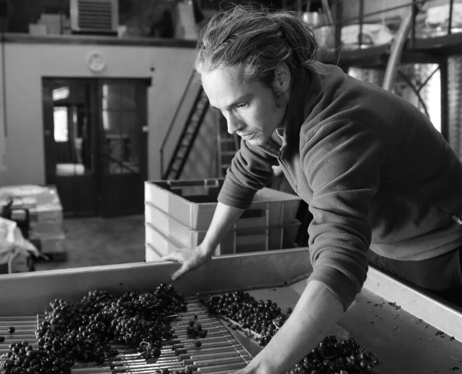 En Accord & Visite du Chai (Wine & Food pairing and tour of the wine cellar) Open Plan your itinerary configuration options