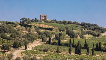 Vallée du Rhone Châteauneuf du Pape