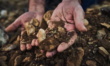 Mains dans la terre