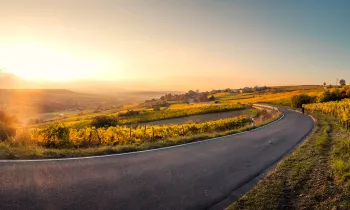 Route des vins