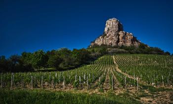 Vignobles de Bourgogne