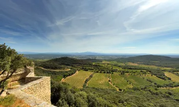 VINS-COTES-DU-RHONE-GARDOISES