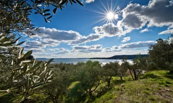 balade gastronomique provence
