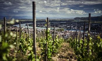 image stock paysage