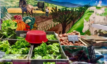  © Copyright © 2018 Mihriban DONER