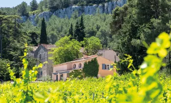  © EvanDeSousa_Chateau Barbanau