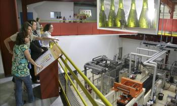 Veuve Ambal - Circuit visite