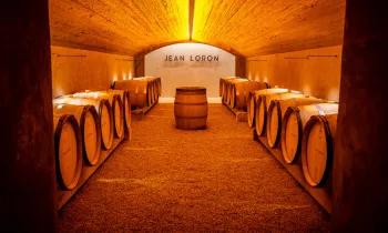 Loic Terrier - www.loicterrier.com