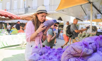 Marché nyonsais du jeudi_Nyons