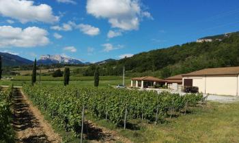 Cave Poulet et Fils