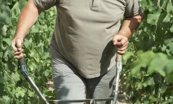 Domaine Pierre Gaillard