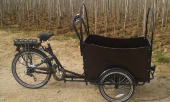 Triporteur Fabien Louis