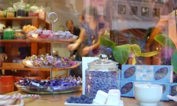 Violette et Berlingot