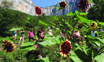 Les Aromatiques de Choranche, Visites pédagogiques Adultes