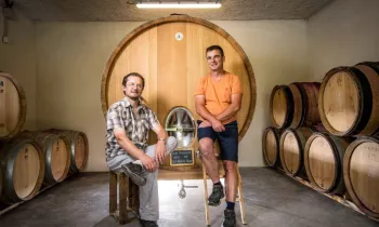 Domaine du Mas d'Intras