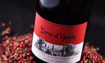 Domaine de Grangeneuve_Roussas