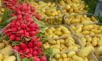 Marché de Vourles