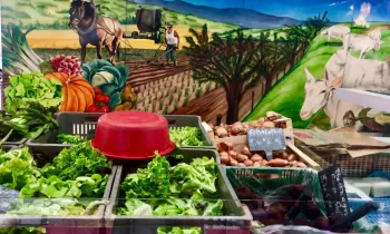 Marché Place Carnot