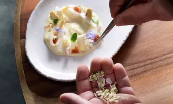 Les Loges_Lyon 5ème