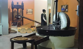 Musée de l'Olivier à Nyons