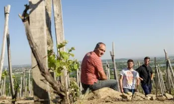 Domaine Christophe Pichon_Chavanay