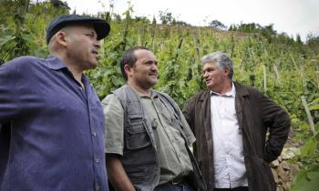 Les Vins de Vienne