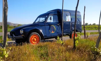 Du Jardin à l'Assiette