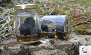 Truffière La Baume Saint Antoine