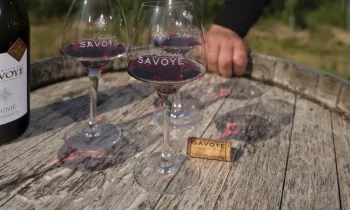 Dégustation vins chiroubles savoye