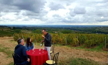 Vigneron d'un jour.. Vigneron toujours.. à la découverte du vignoble Beaujolais