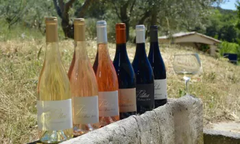 Domaine Piallat - Vin - Montbrison sur Lez