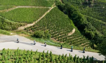 Balade en gyropode sur Condrieu Côte-Rôtie