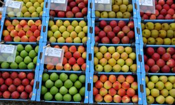 Fête de la Pomme