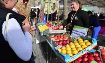 Fête de la Pomme_Pélussin