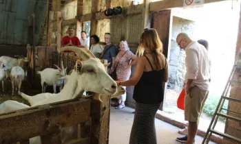 Excursion dans le vignoble de Condrieu au départ de Vienne