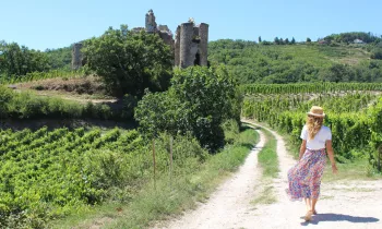 Les accords Mai & Vins