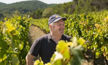 Vins Laurent Bellion_Séguret