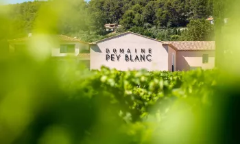Domaine Pey Blanc