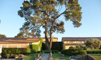 Château Ferry Lacombe