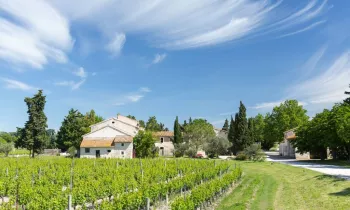 Domaine Mas de Rey Arles