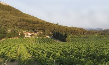 Château Barbanau