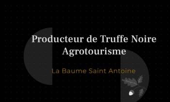 Pique-nique truffé au milieu des chênes- La Baume Saint Antoine_Romans-sur-Isère