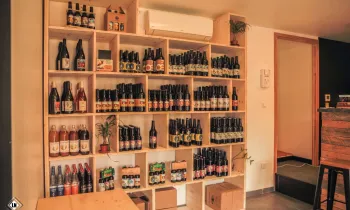 Visite de la microbrasserie La Chénou_Saint-Laurent-d'Agny