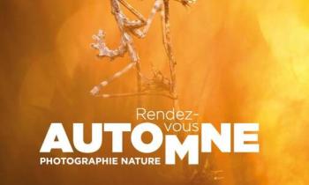 Rendez-Vous d'Automne : Festival de la Camargue et du Delta du Rhône_Arles