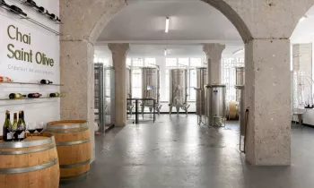 La cuverie du Chai Saint Olive