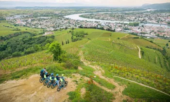 balade-trott-expert-terres-de-syrah