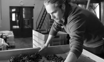 En Accord & Visite du Chai